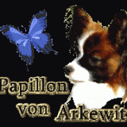 (c) Papillon-von-arkewit.ch